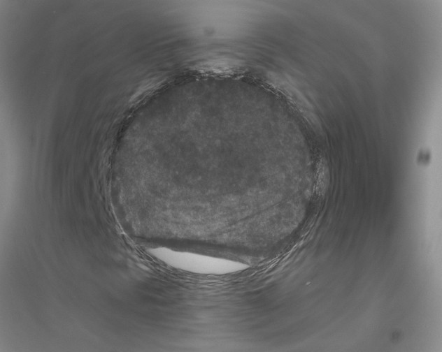 X0000116761297201001281603