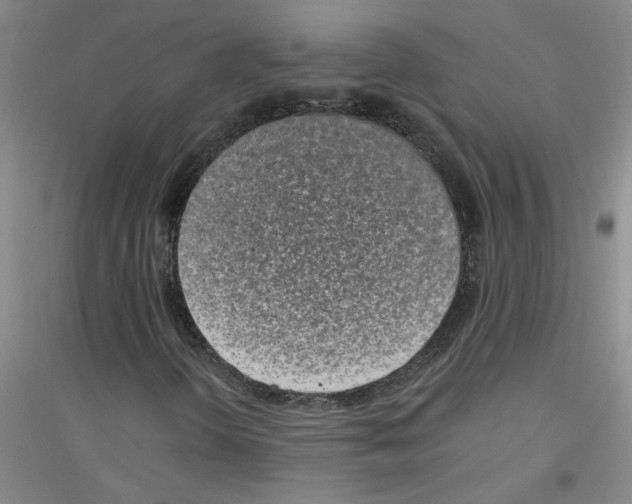 X0000116761298201001281603