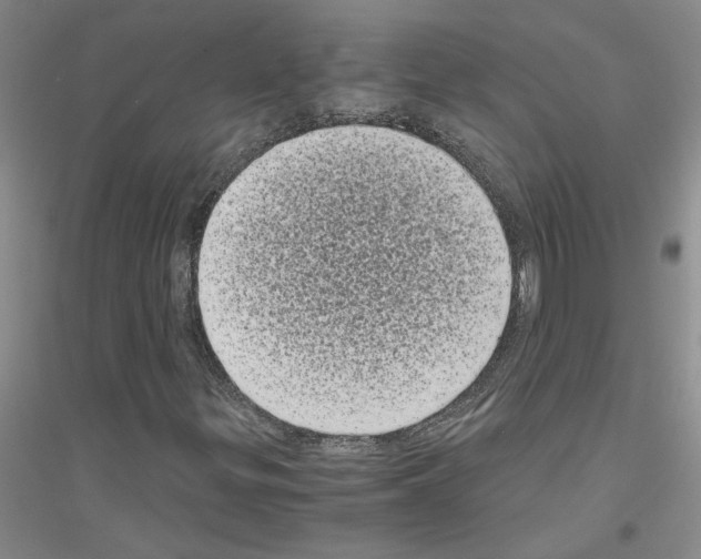 X0000116761299201001281603