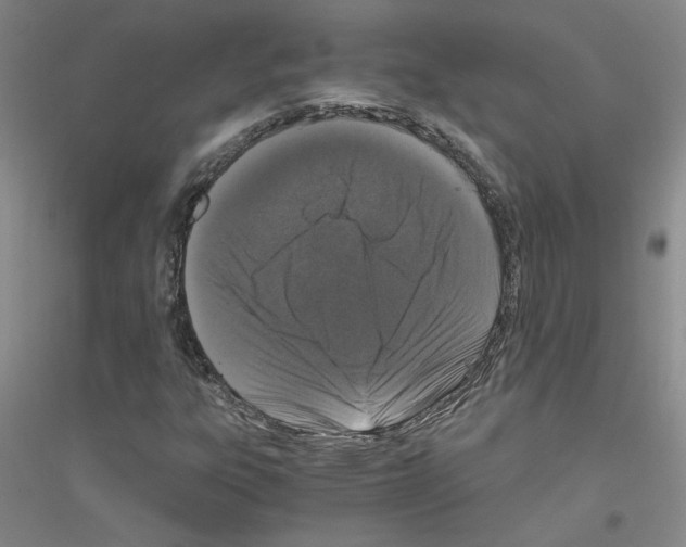 X0000116761303201001281603