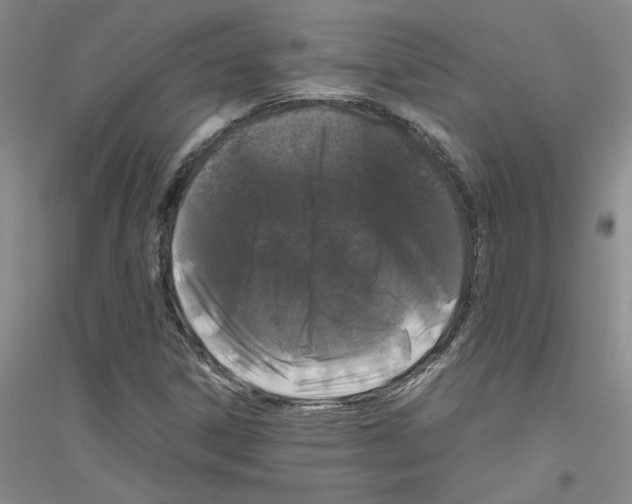 X0000116761306201001281603