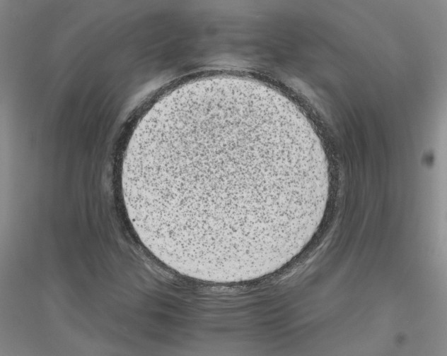 X0000116761307201001281603