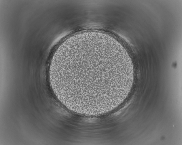 X0000116761309201001281603