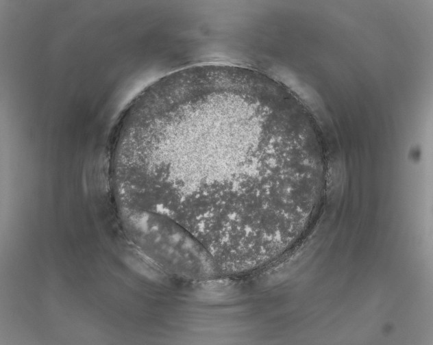 X0000116761310201001281603