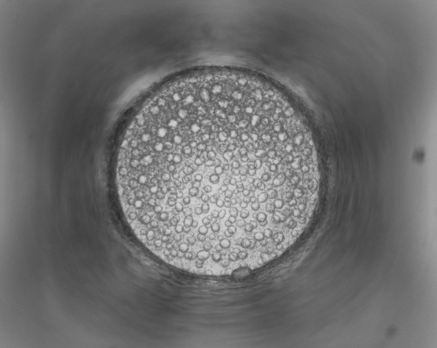 X0000116761311201001281603