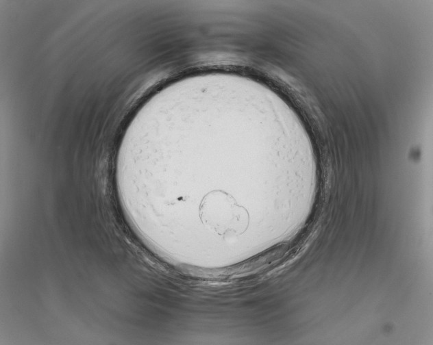 X0000116761313201001281603