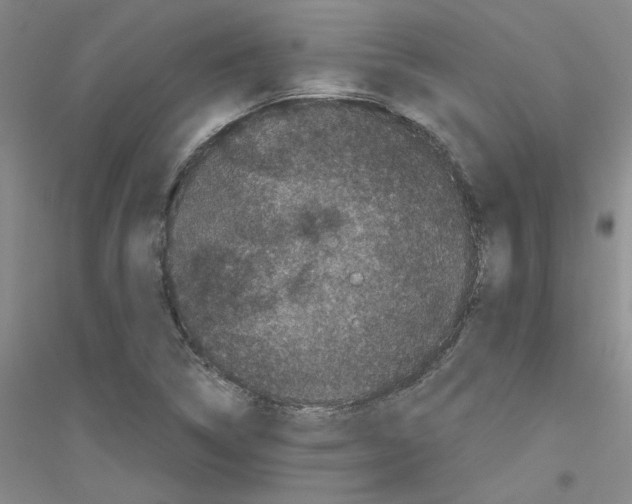 X0000116761314201001281603