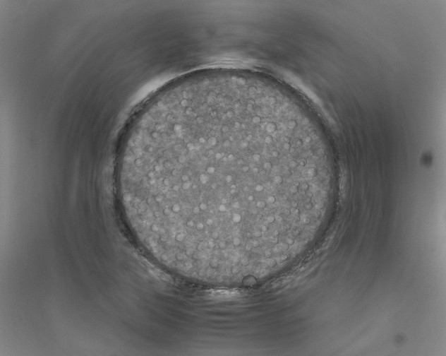 X0000116761315201001281603