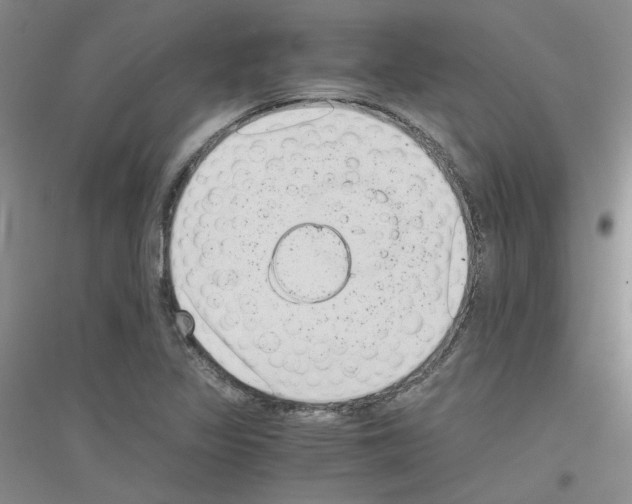 X0000116761317201001281603