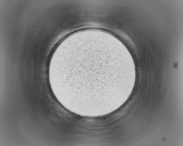 X0000116761318201001281603