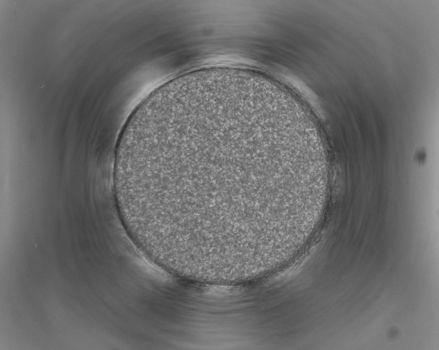 X0000116761322201001281603