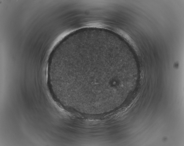 X0000116761323201001281604