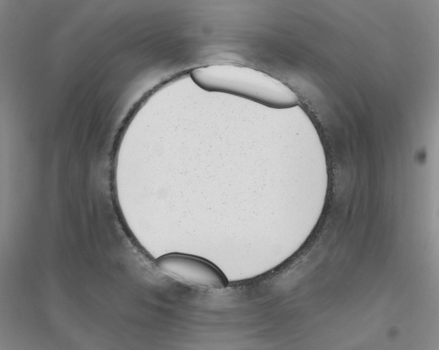 X0000116761326201001281604