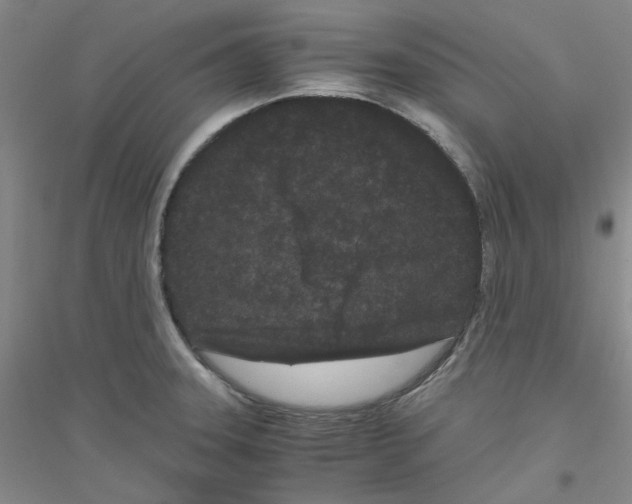 X0000116761331201001281604