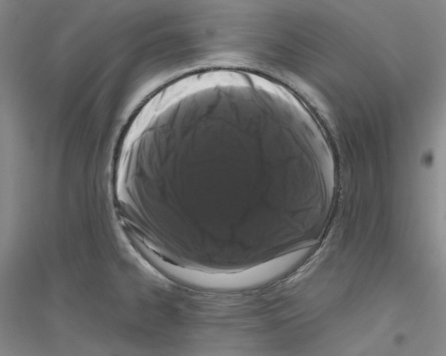 X0000116761334201001281604