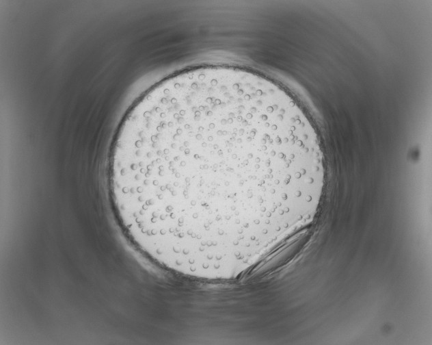 X0000116761335201001281604