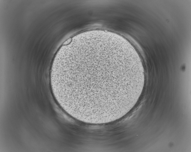 X0000116761341201001281604