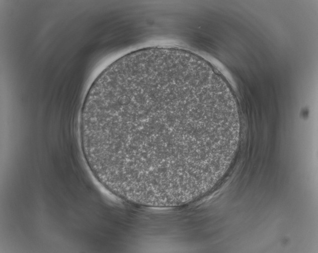 X0000116761343201001281604