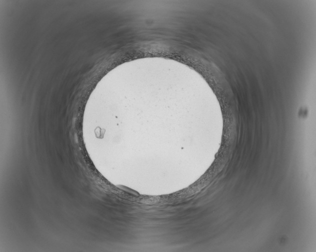 X0000116761345201001281603