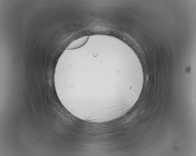 X0000116761348201001281603