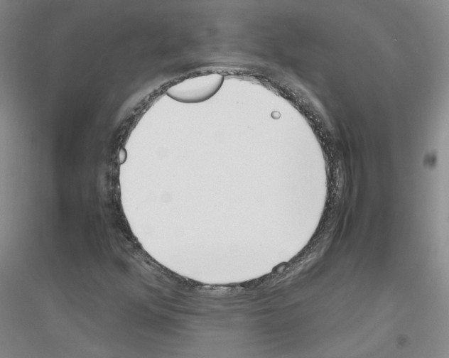 X0000116761352201001281603