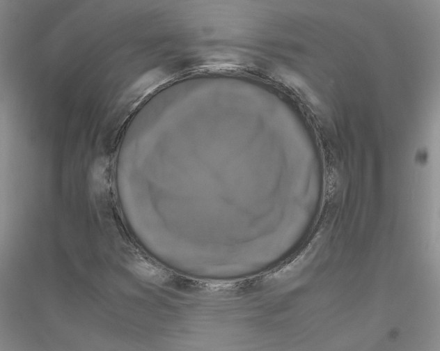 X0000116761353201001281603