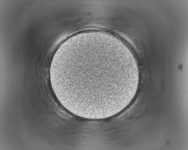 X0000116761355201001281603