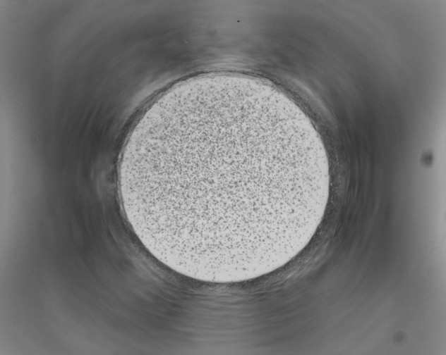 X0000116761356201001281603