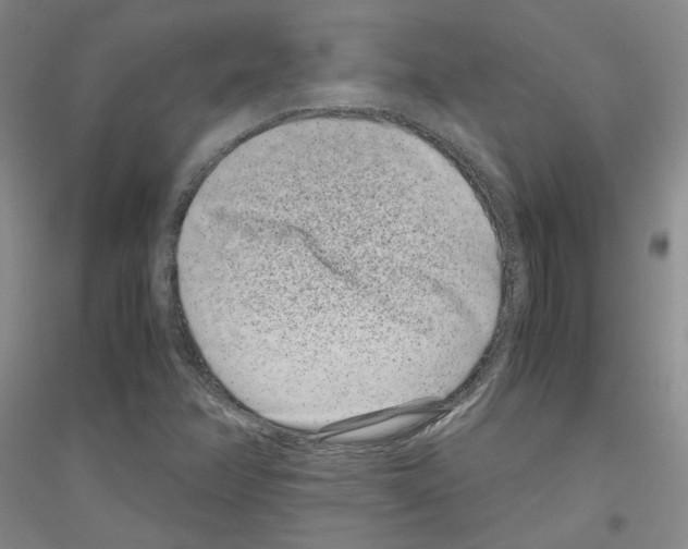 X0000116761358201001281603