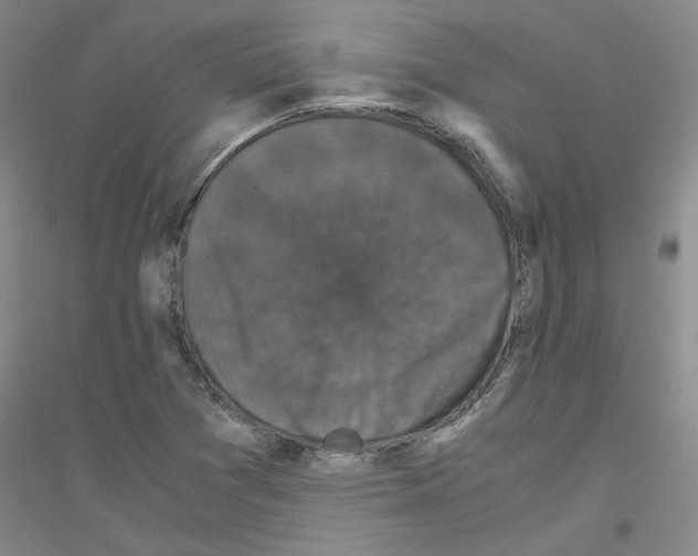 X0000116761361201001281603