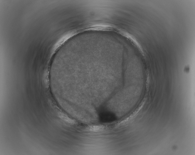 X0000116761362201001281603