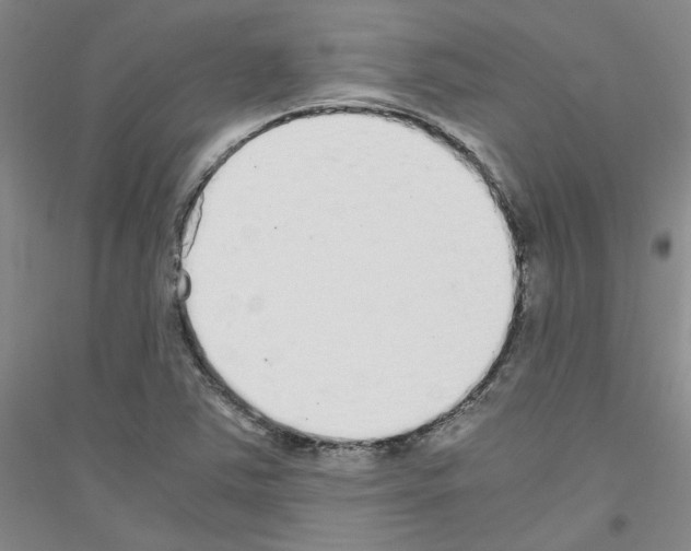 X0000116761363201001281603