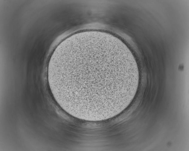 X0000116761366201001281603