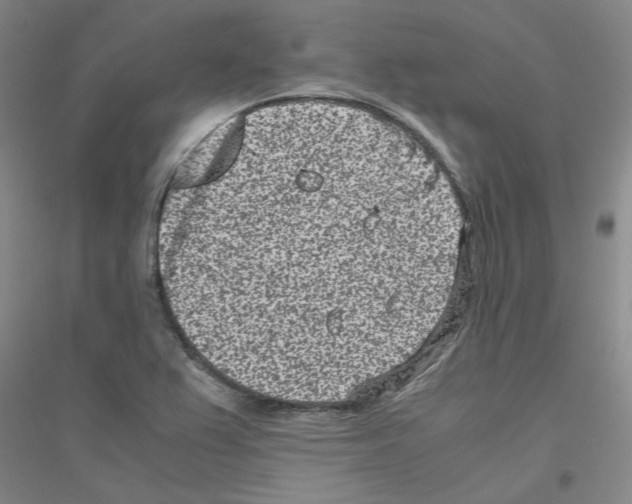 X0000116761367201001281603