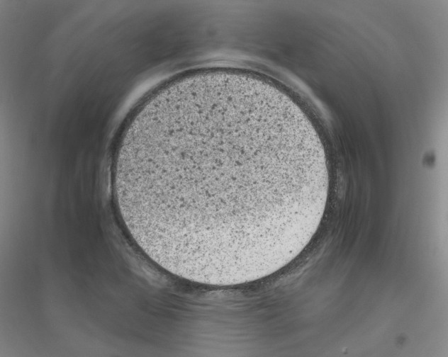 X0000116761368201001281603