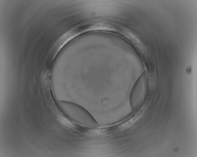 X0000116761369201001281603