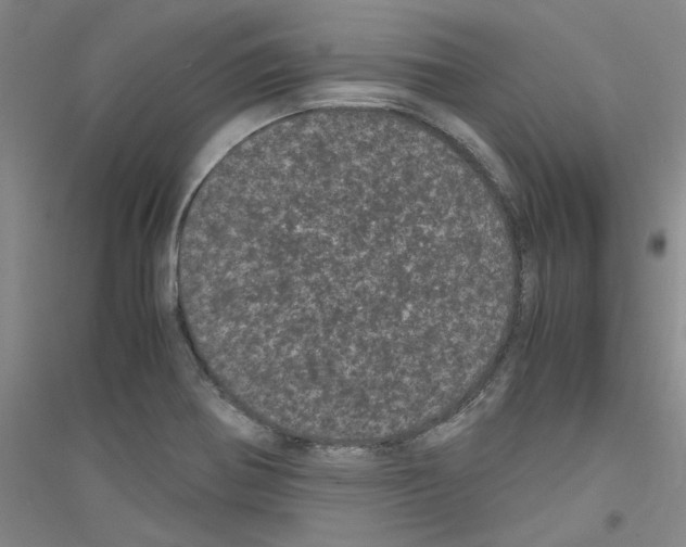 X0000116761370201001281603