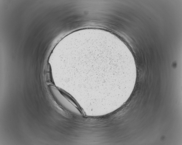 X0000116761371201001281603