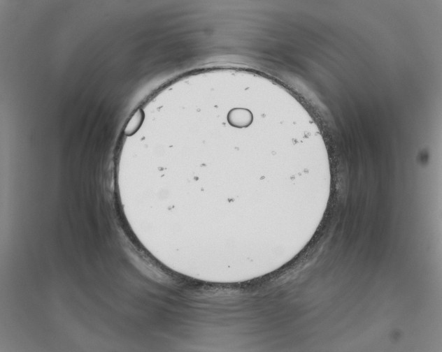 X0000116761372201001281603