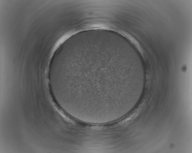 X0000116761373201001281603