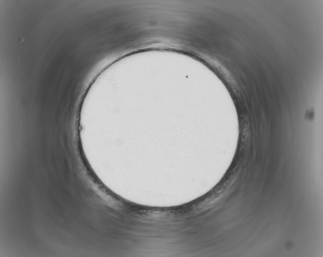 X0000116761375201001281603