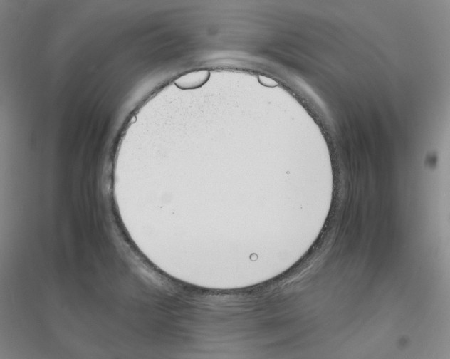 X0000116761376201001281603