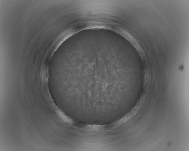 X0000116761377201001281603