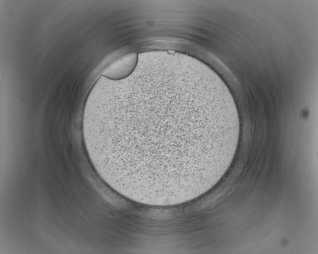 X0000116761378201001281603