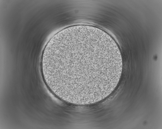 X0000116761379201001281603