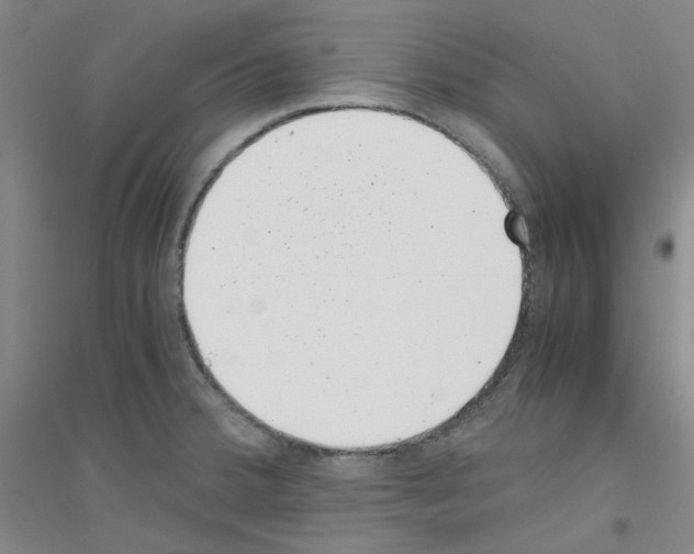 X0000116761380201001281603