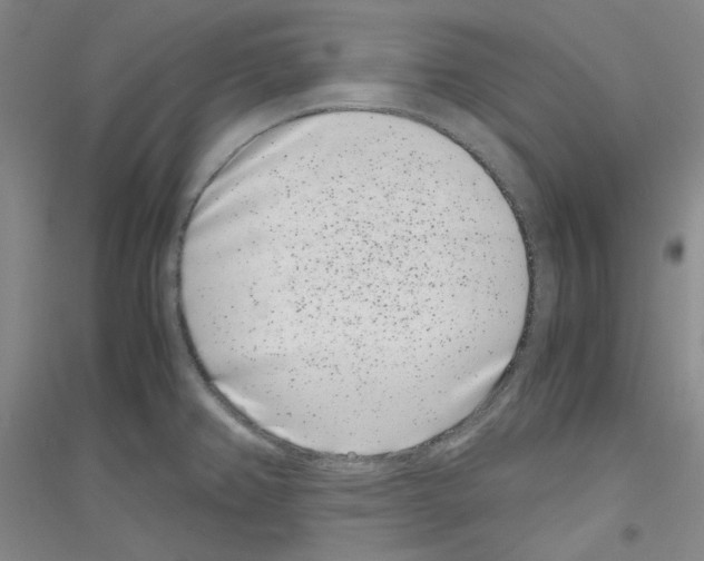 X0000116761382201001281603