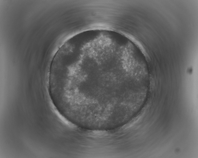 X0000116761383201001281603