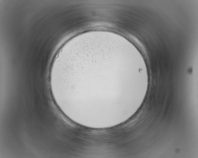 X0000116761384201001281603