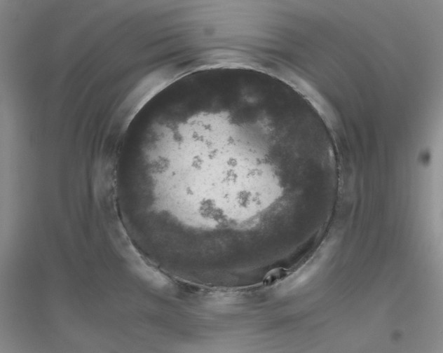 X0000116761385201001281603